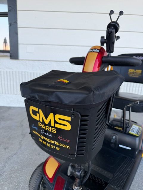 Insulated Cooler for Scooter Basket – Premium Accessory (Fixed Price)