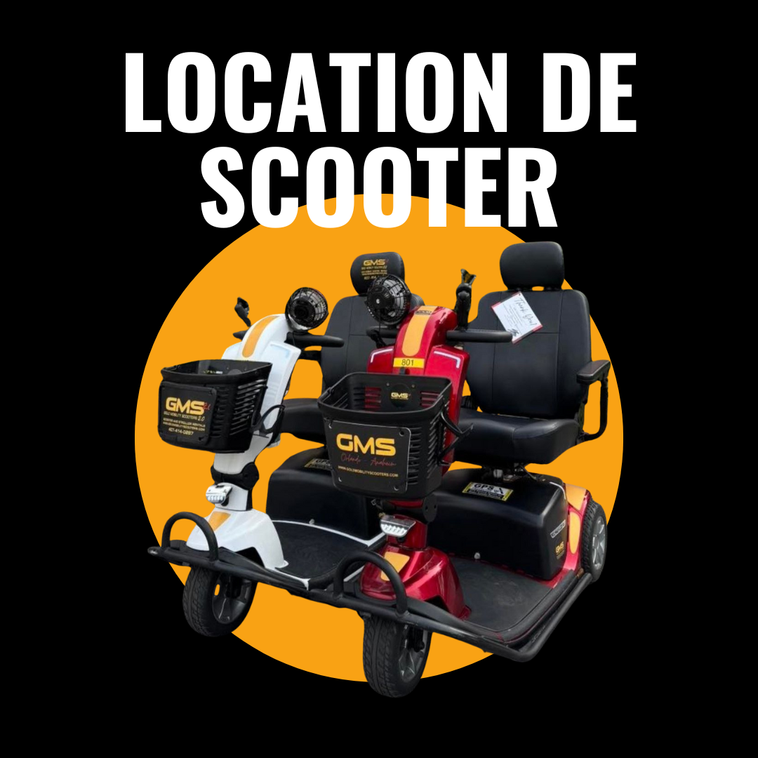 Location de Scooter: Scooter a Mobilité réduite pour les parc d'attractions et les alentours