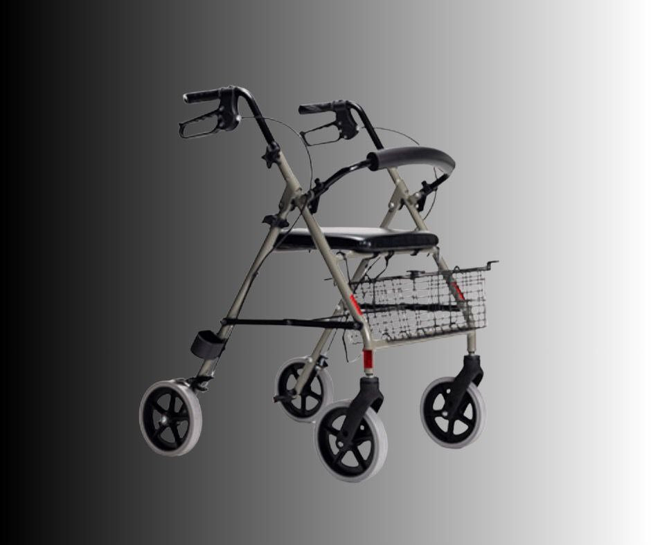 Déambulateur Premium Vive – Location (Livraison et Retour Inclus dans le Prix. Livraison dans un Rayon de 20 km DLP, Ranch Davy Crockett, Villages Nature et bien plus)