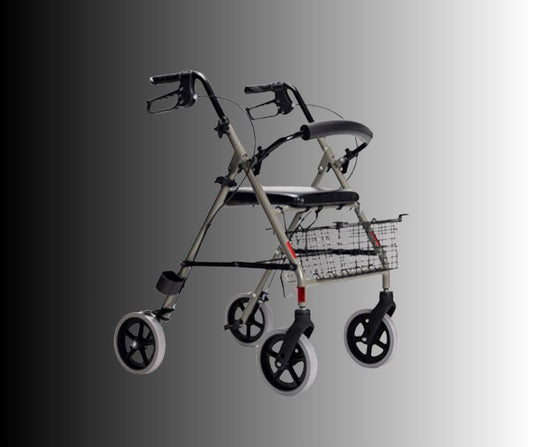 Déambulateur Premium Vive – Location (Livraison et Retour Inclus dans le Prix. Livraison dans un Rayon de 20 km DLP, Ranch Davy Crockett, Villages Nature et bien plus)