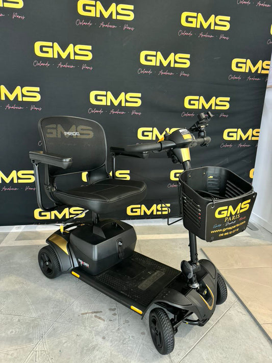 Scooter Électrique GoGo à 4 Roues – Location (Livraison et Retour Inclus dans le Prix. Livraison dans un Rayon de 20 km DLP, Ranch Davy Crockett, Villages Nature et bien plus)