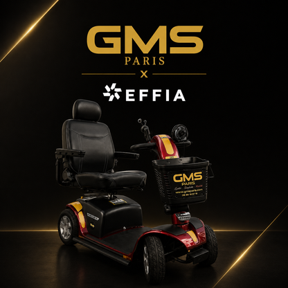 Scooter Électrique Victory 10 à 4 Roues / 1 Jour (-10€) / Retrait et retour a EFFIA uniquement